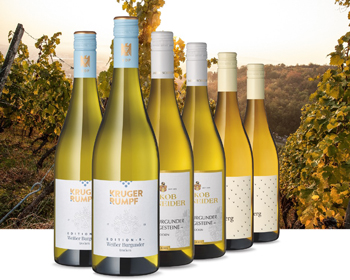 Weißwein-Auswahl mit Weingläsern vor Weinbergkulisse