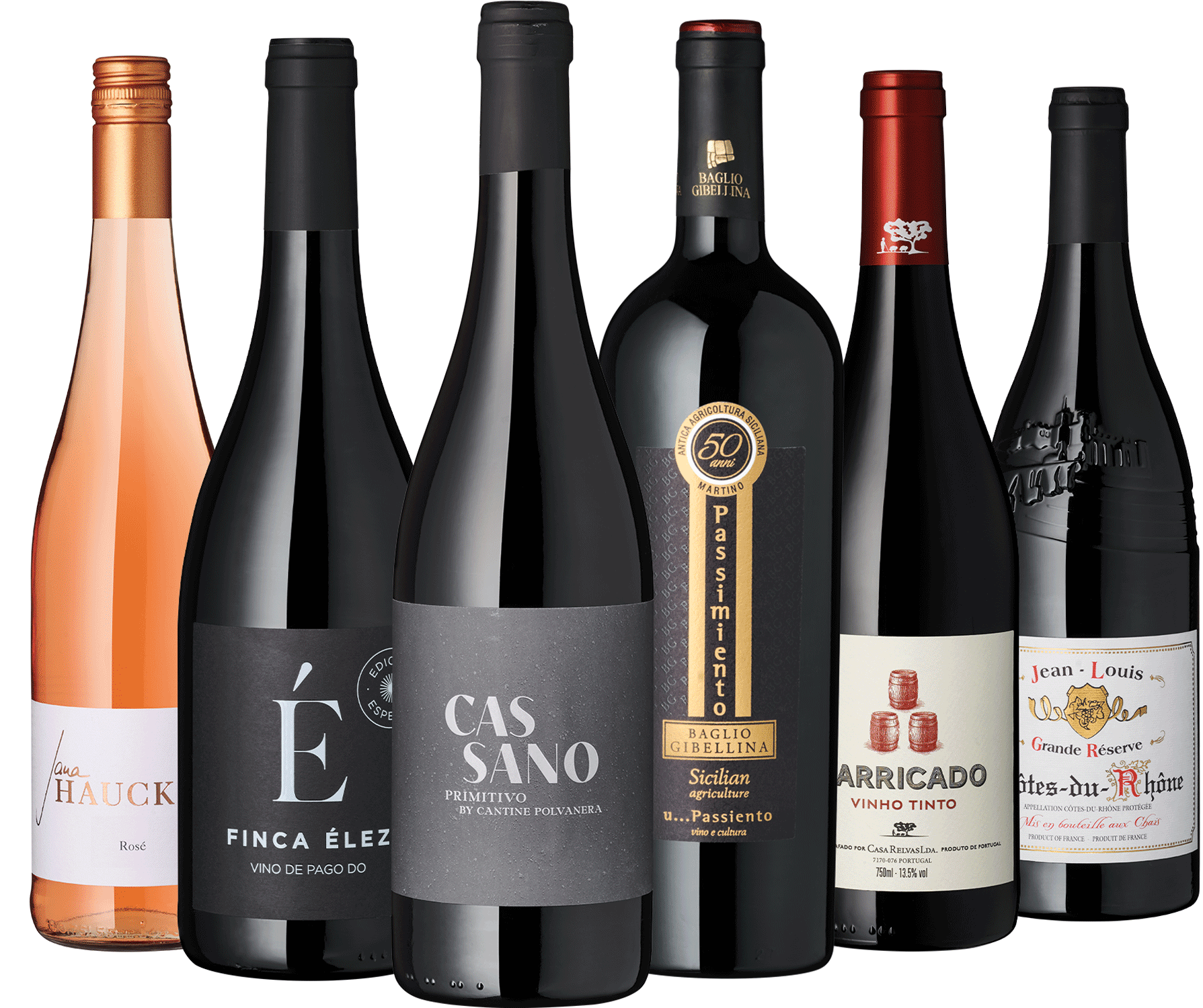 6er Rotwein Entdecker Juni II 2025