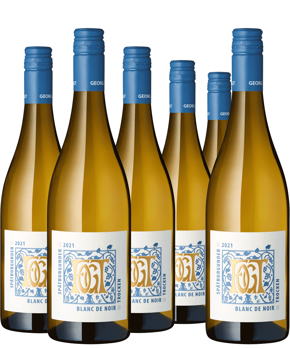 5+1 Paket Spätburgunder Blanc de Noir Fogt