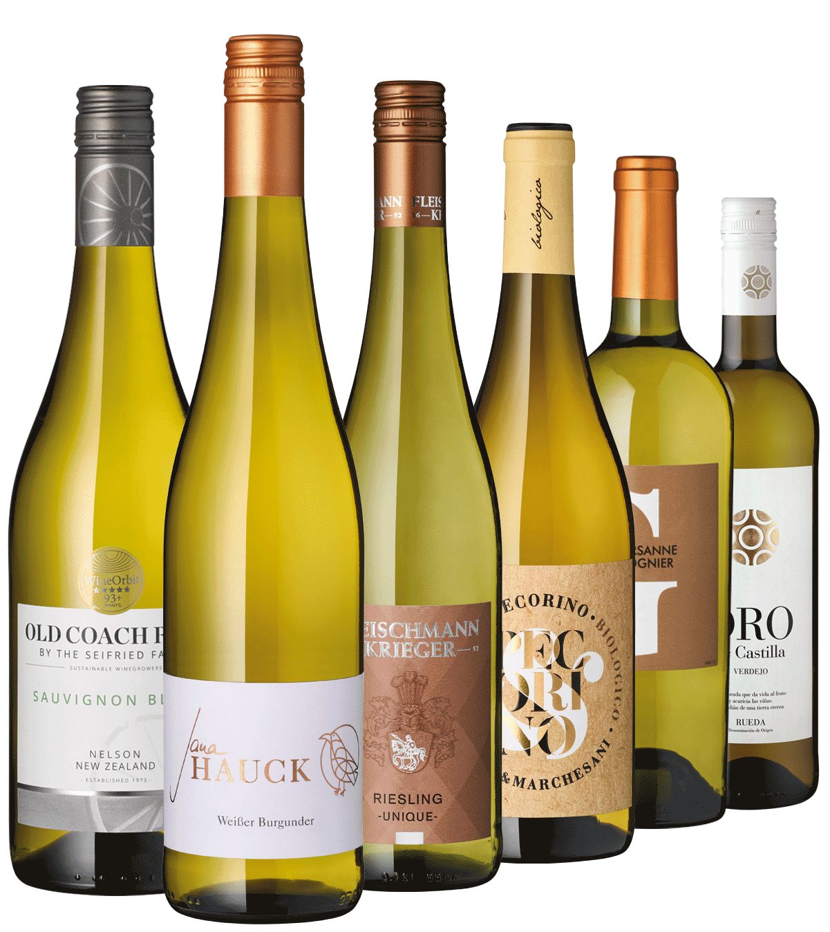 6er Paket "Winzerinnen Weine"