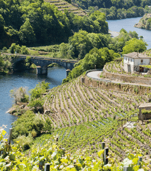 Vinorell Masterclass Iberische Halbinsel 2025 