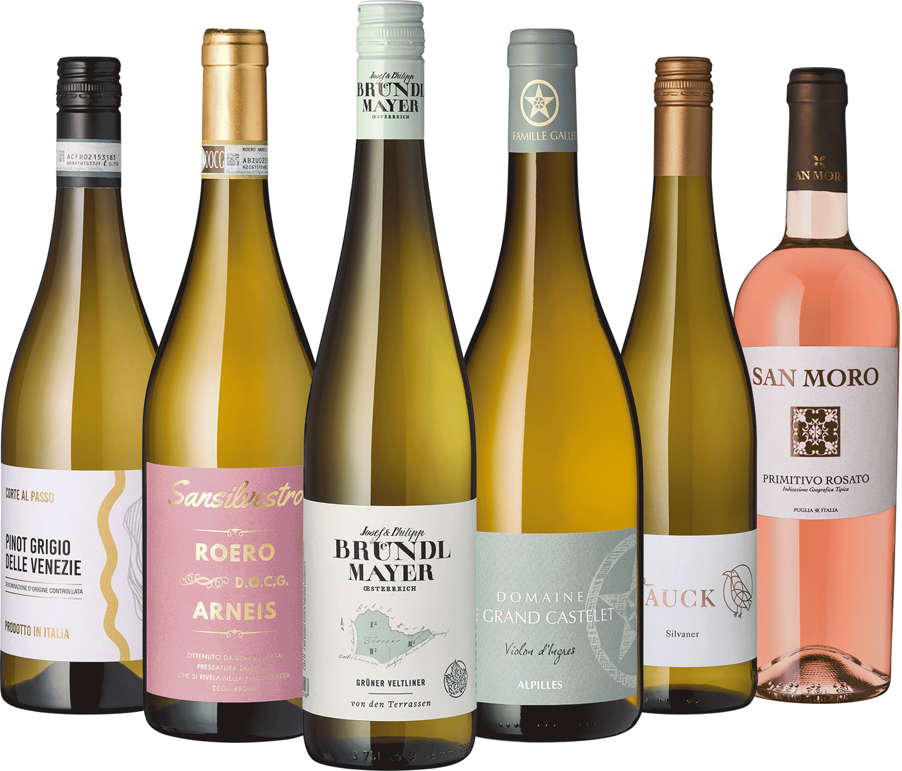 6er Weißwein Entdecker September 2025