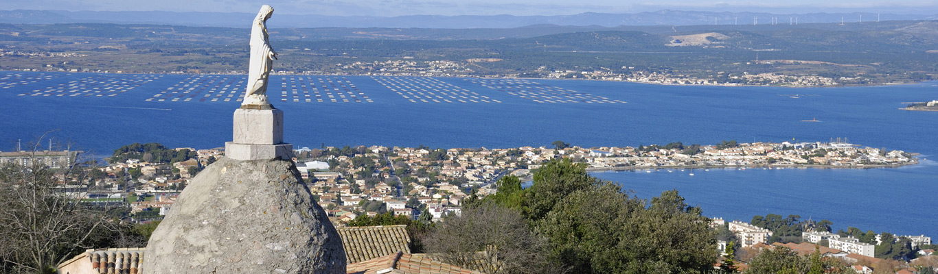 Languedoc-Roussillon. Ein Paradies für Rotweinentdecker Seminar Languedoc Roussillon