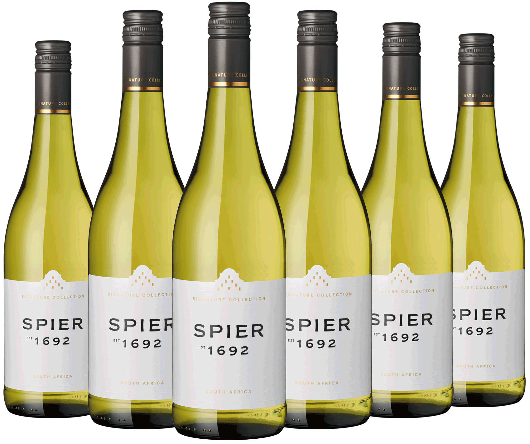 6er Paket "Signature" Sauvignon Blanc