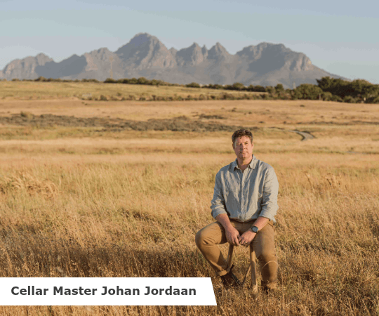 Cellar Master Johan Jordaan auf einem Stuhl in einem Feld vor Bergen im Hintergrund