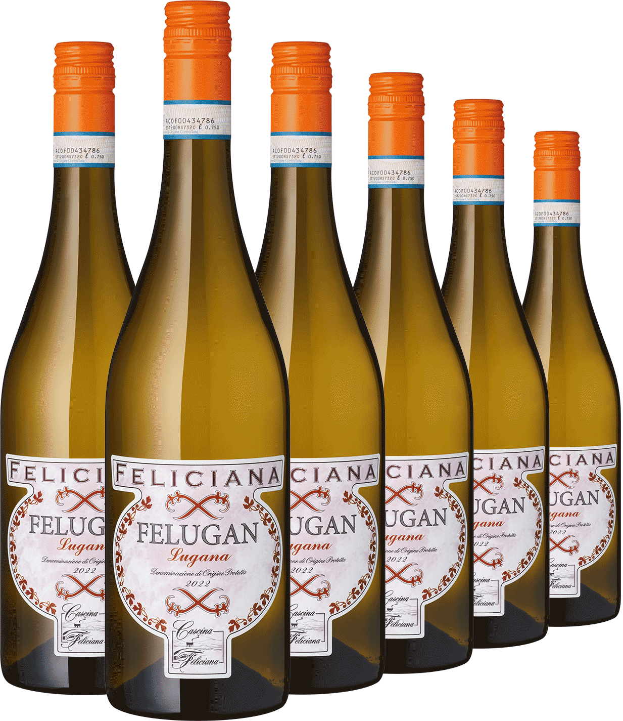 6er Paket Lugana "Feliciana"