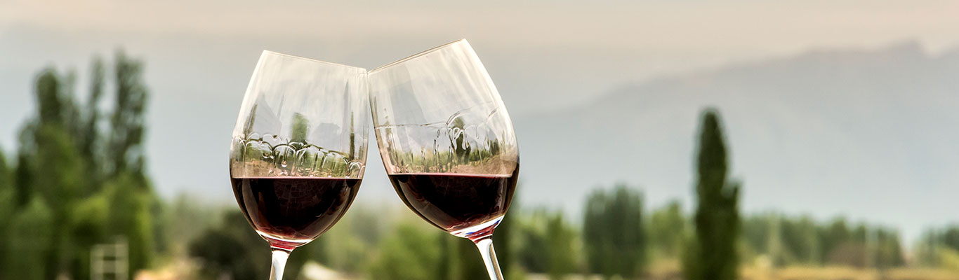 Kontor Fürstenried: Südamerika, Weine der Anden Zwei Weingläser stoßen an, Rotwein, malerische Kulisse