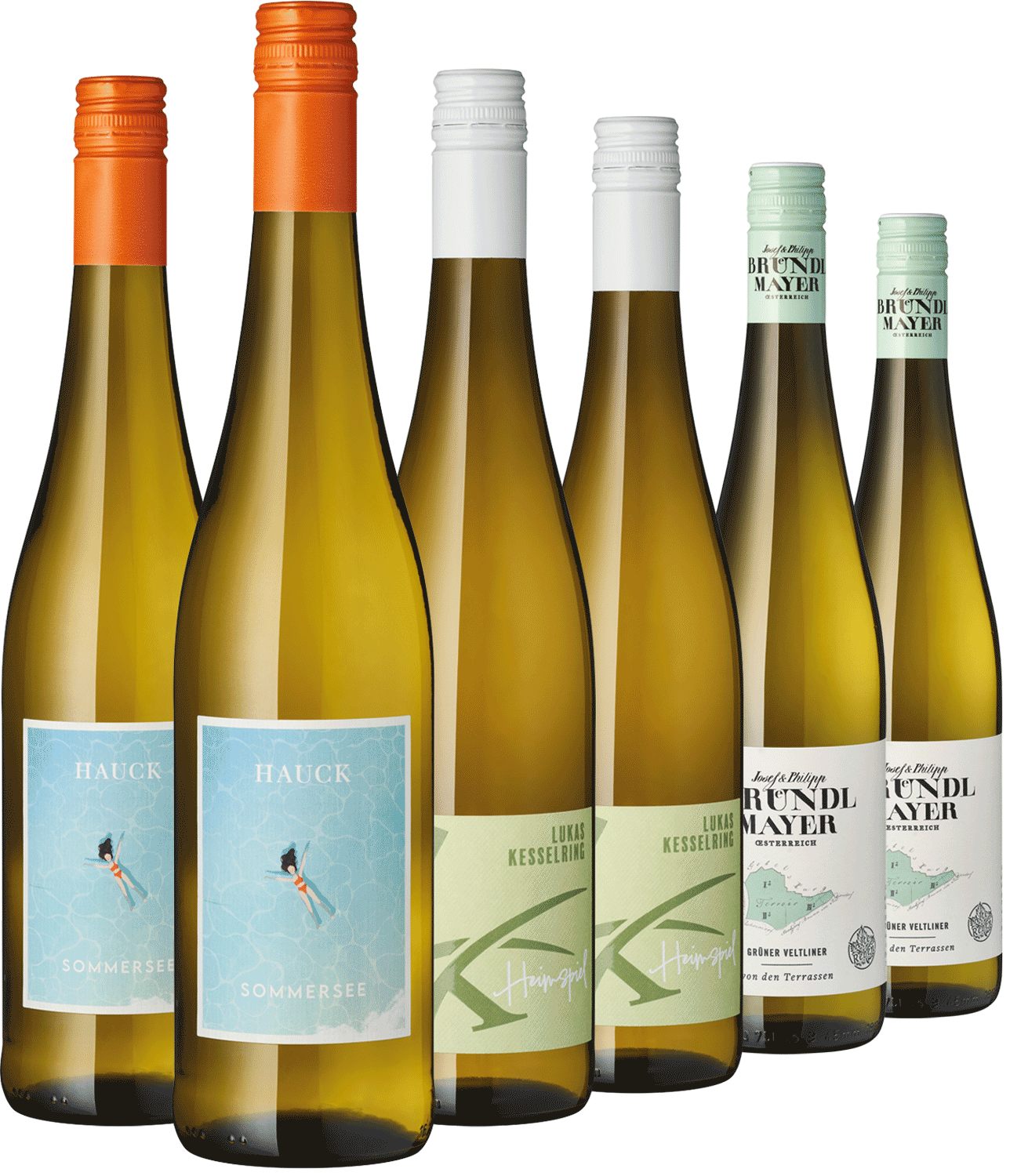 6er Paket Sommer am See Weinflaschen-Ensemble, verschiedene Sorten und Etiketten im Shop