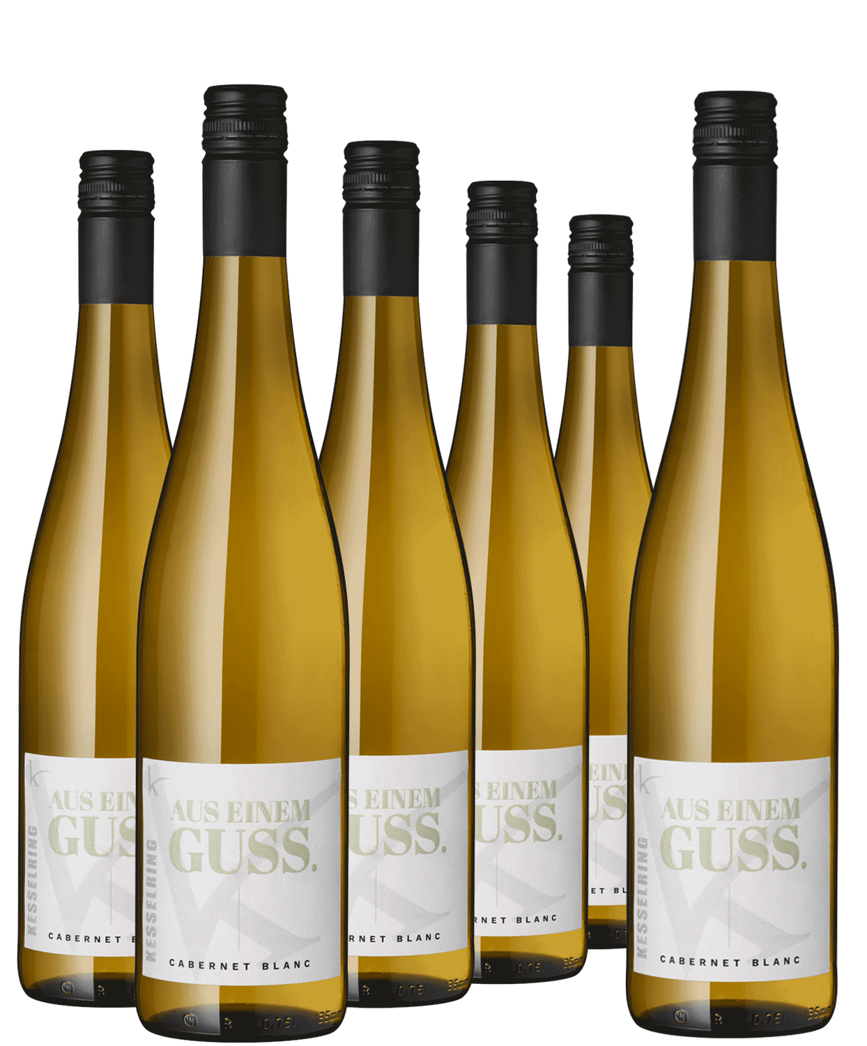 5+1 Paket "Aus einem Guss" Cabernet Blanc