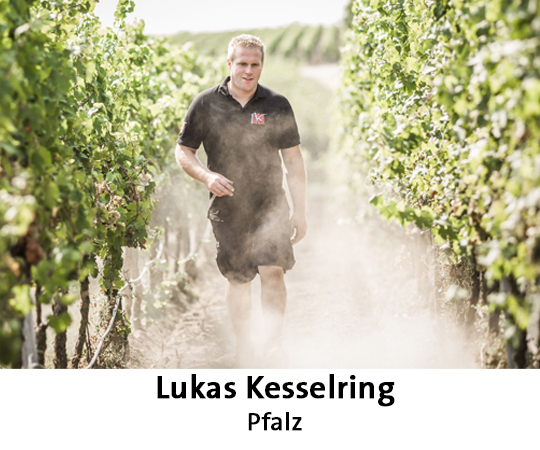 Weinfest Hamburg Winzer Kesselring Weinfest Hamburg Winzer Kesselring