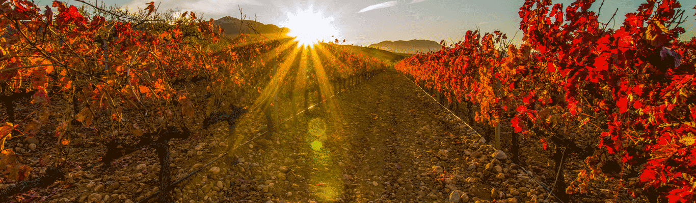 Themenverkostung: herbstliche & festliche Genüsse Themenverkostung November