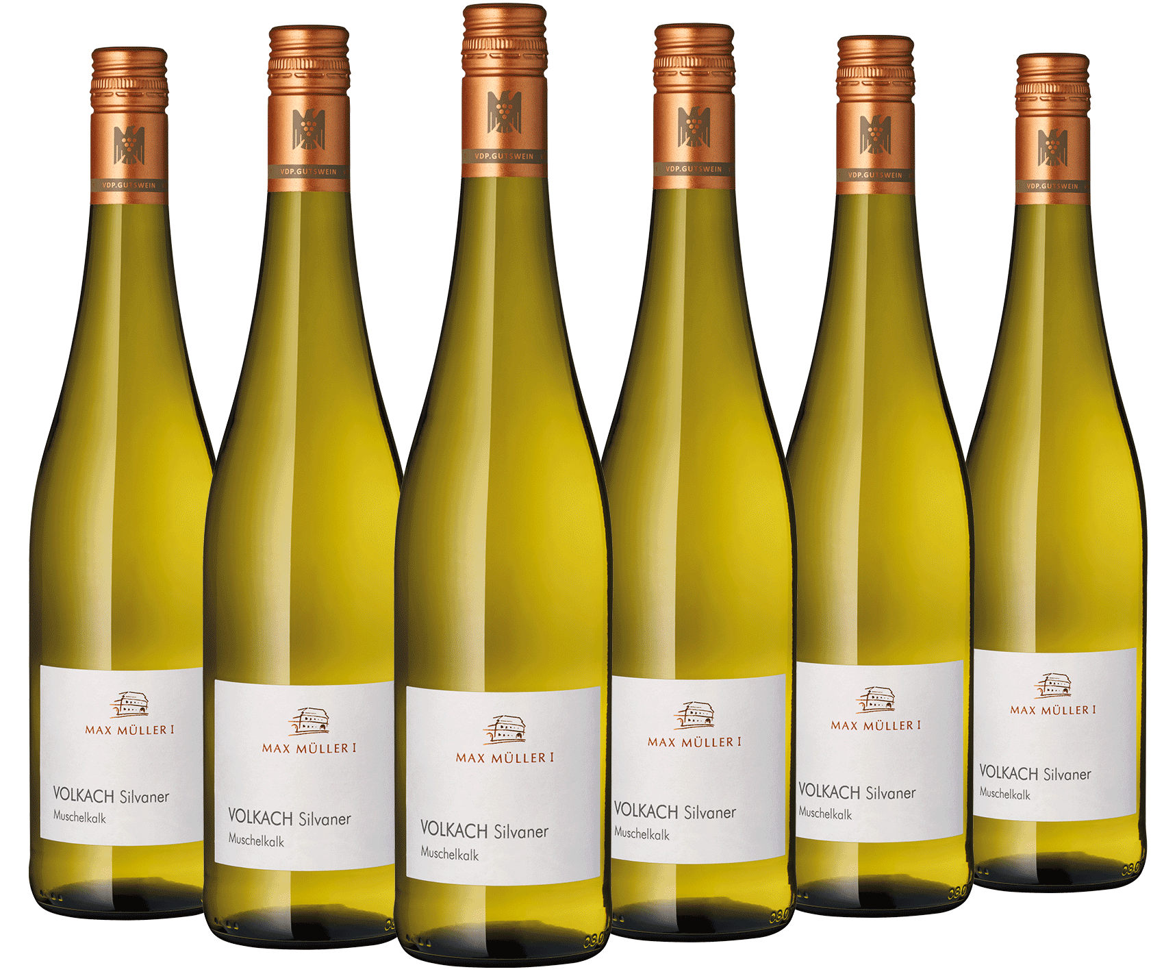 6er Paket "Muschelkalk"