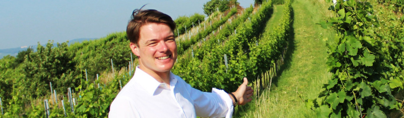 Weingut Pfaffl Weingut Pfaffl