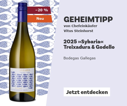 Geheimtipp November 2026