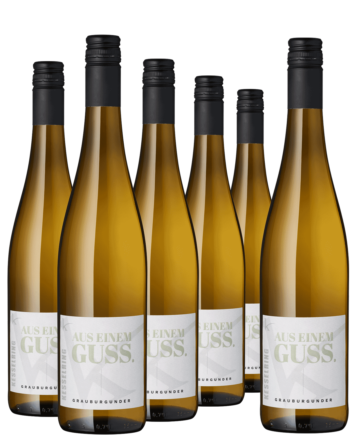 5+1 Paket "Aus einem Guss" Grauburgunder
