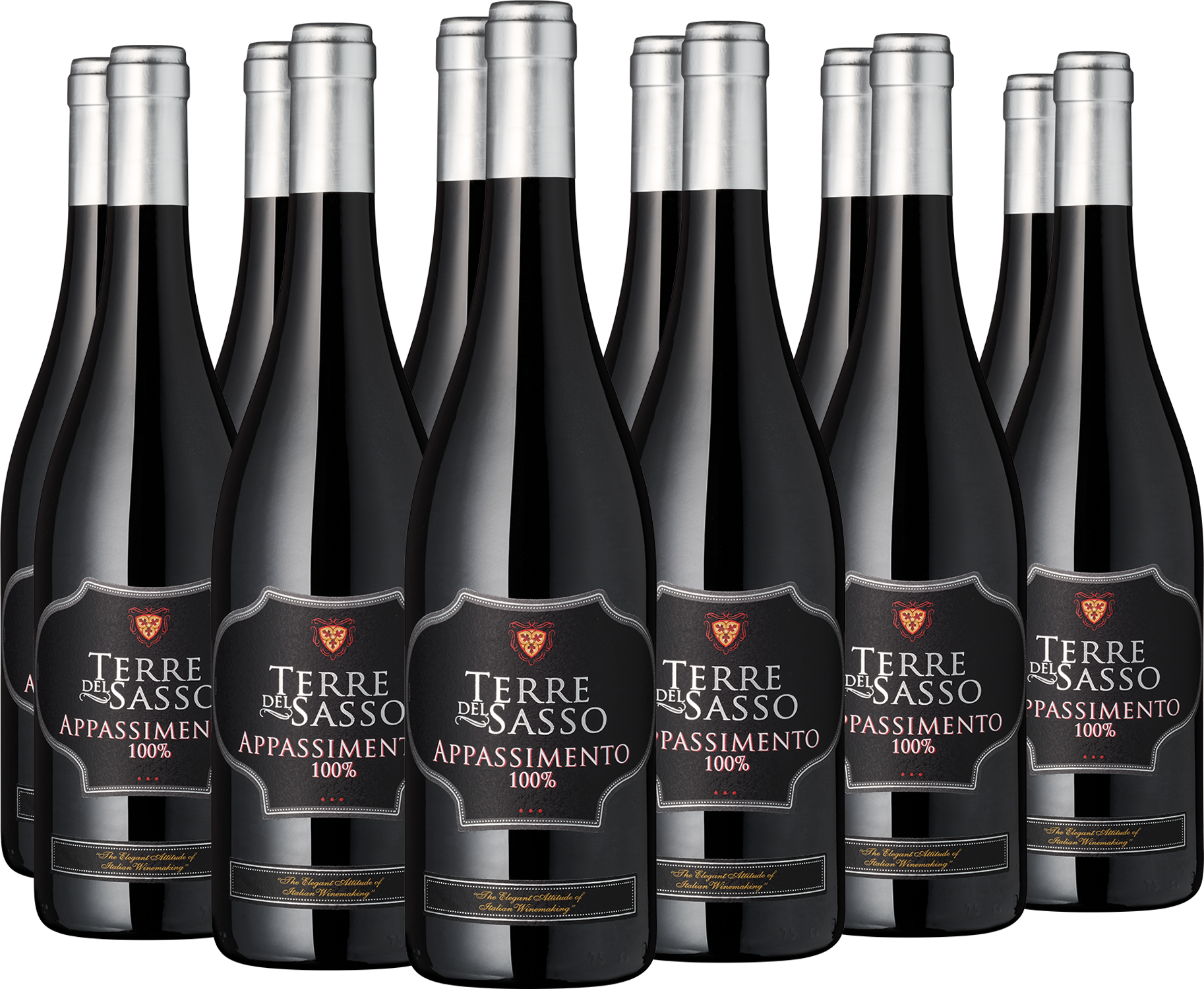 12er Paket "Terre del Sasso" Appassimento