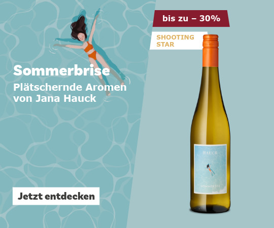 selfmailer-sommersee-sommerbrise-05-26-mobil
