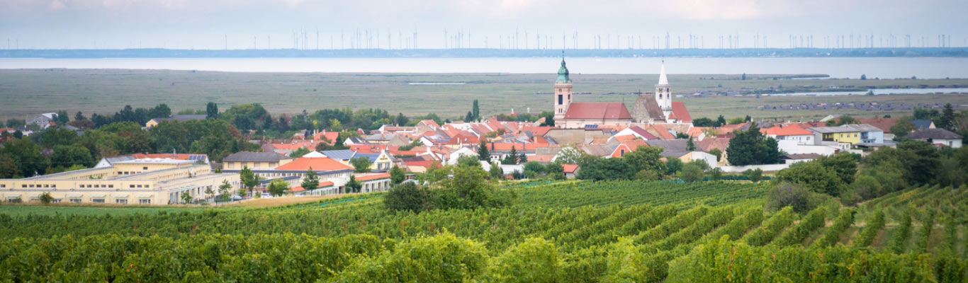 Kategorie Burgenland