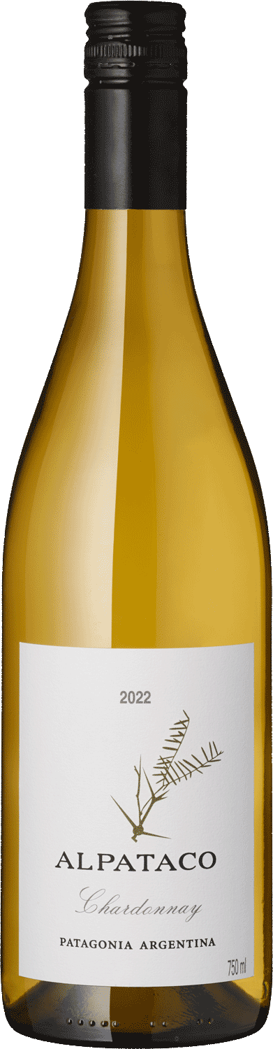 "Alpataco" Chardonnay, Saurus