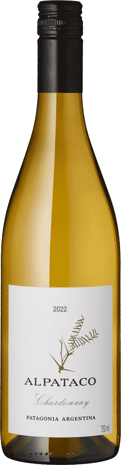 Image of "Alpataco" Chardonnay, Saurus