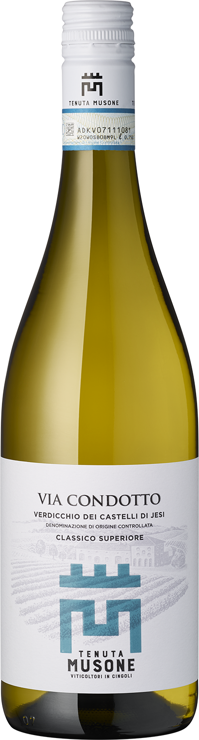 "Via Condotto" Verdicchio di Castelli di Jesi