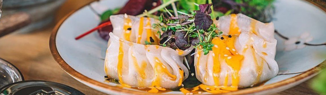 Restaurant Bodhi: Ein Ausflug in die vegane Kulinarik Köstliche Dim Sum mit Salat und Soße serviert
