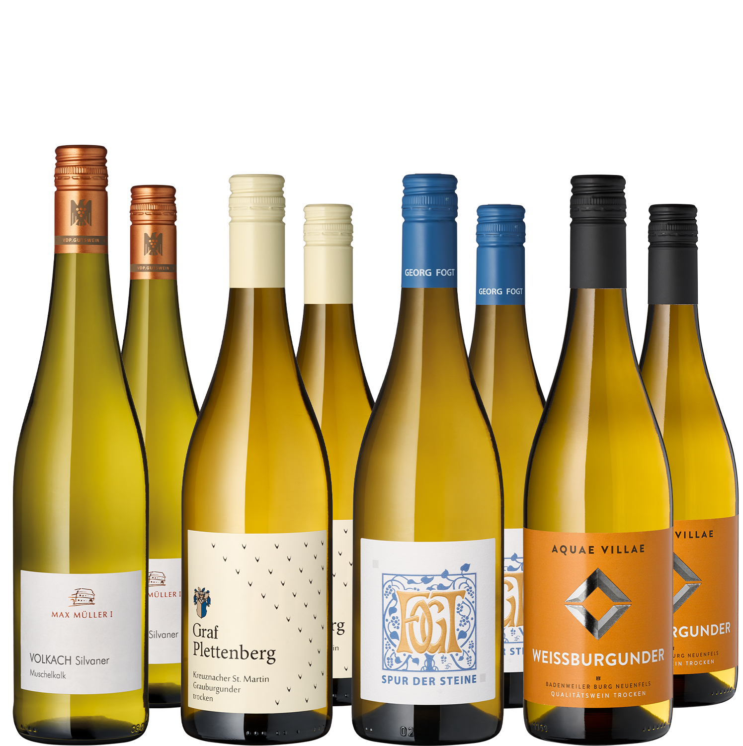 8er Weinpaket Spargelhelden