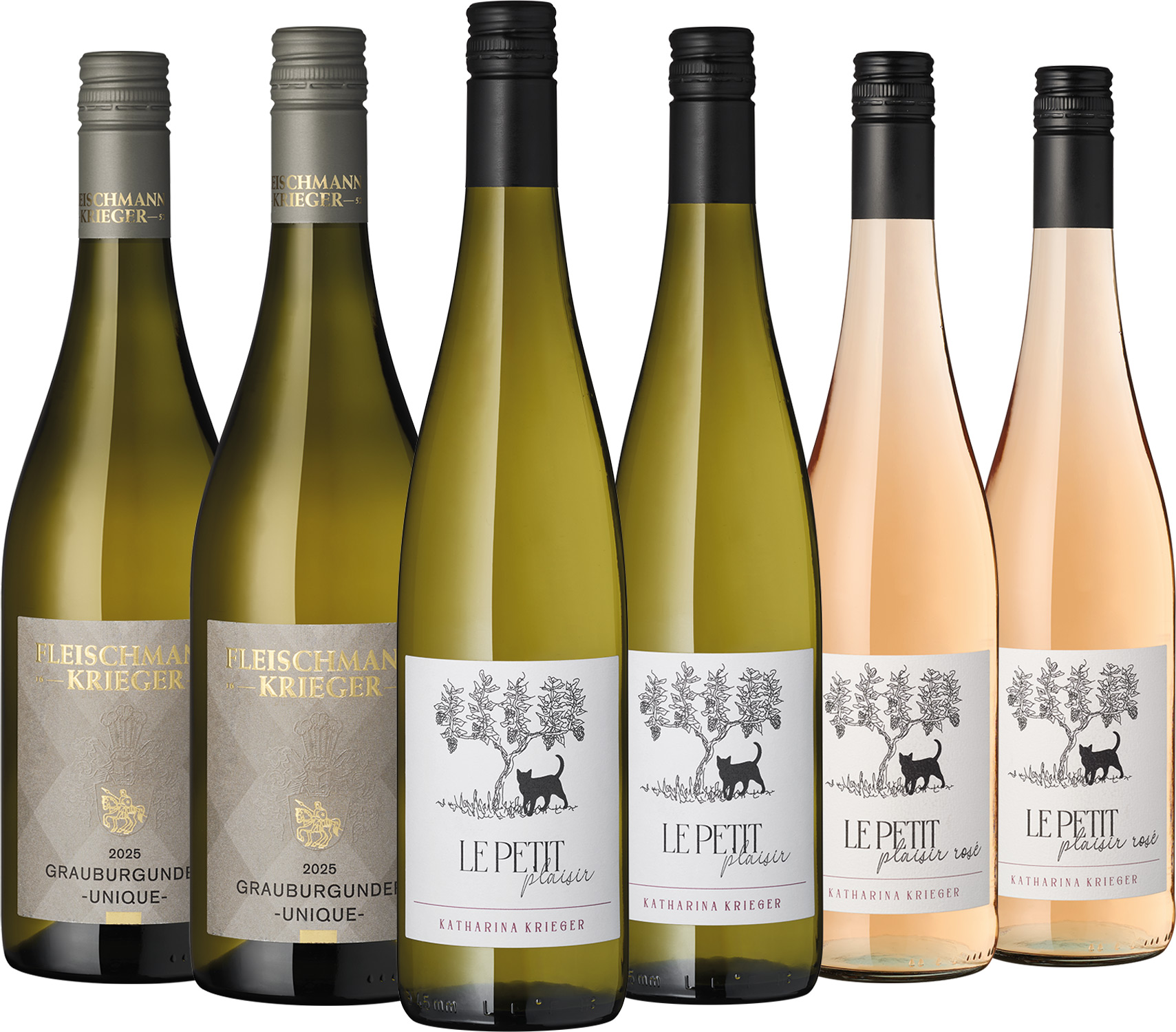 6er Paket Katharina Krieger