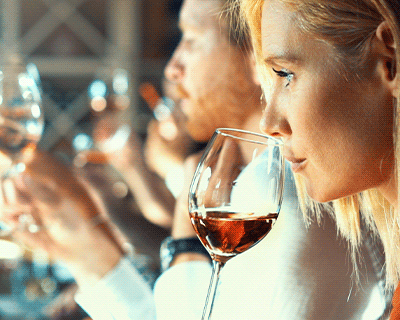 Wein Seminar Einsteiger