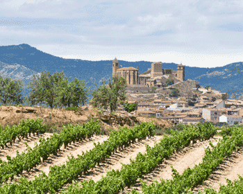 Rioja Seminar