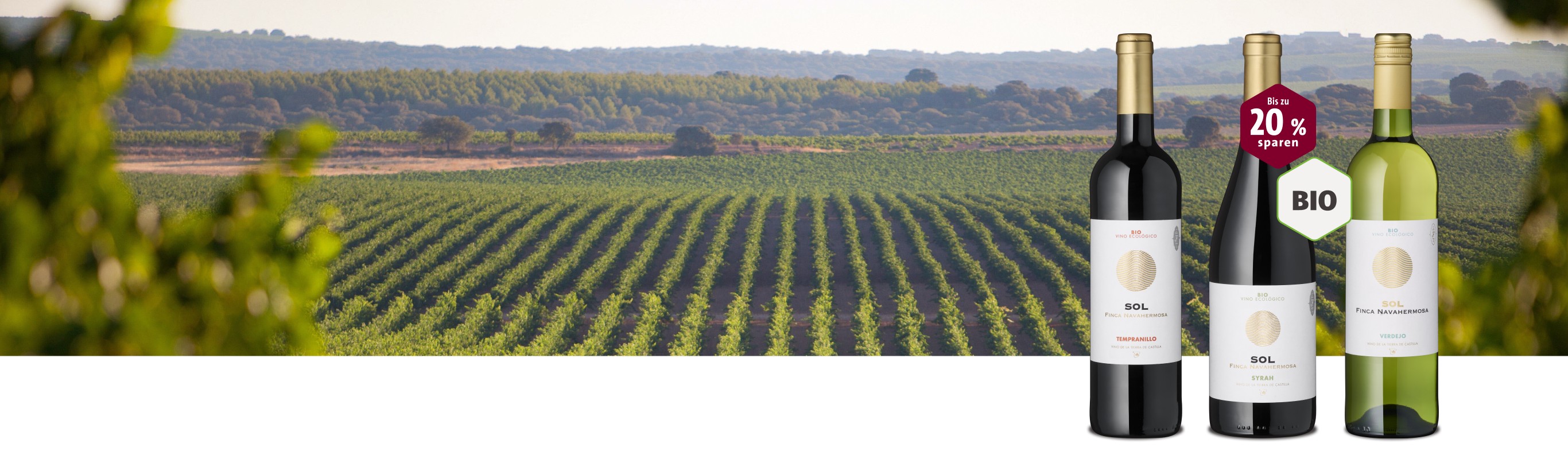 Sol, Sol, Sol! Bio-Weine aus Spanien mit Weinbergen im Hintergrund