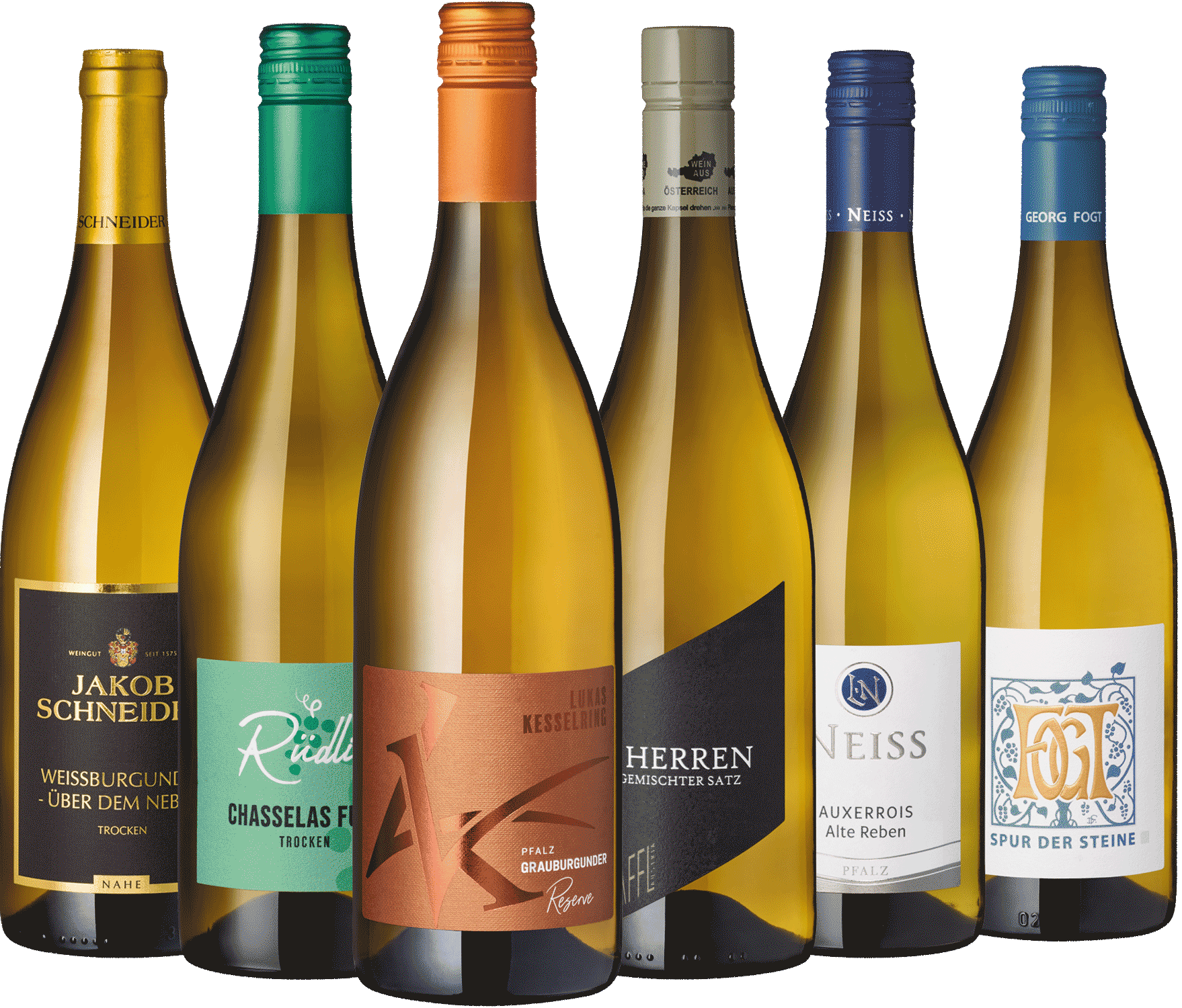 6er Weißwein Entdecker Dezember II 2025