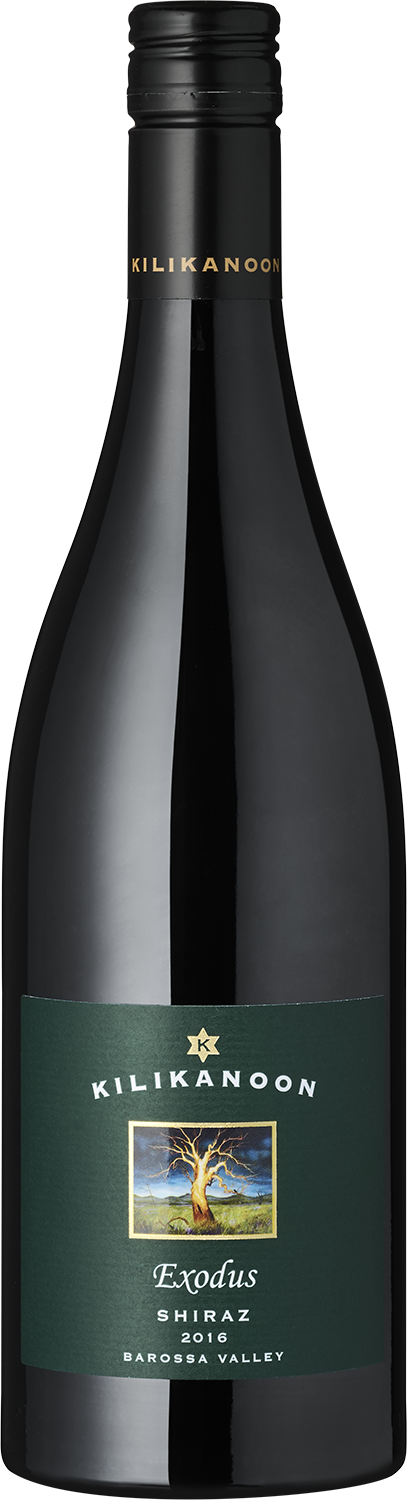 "Exodus" Shiraz