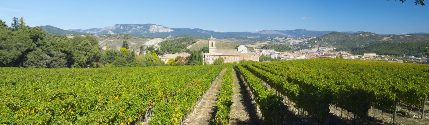 Kategorie Navarra Kategorie Navarra