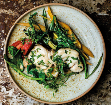 Kategorie Wein und Zander Kategorie Wein und Zander