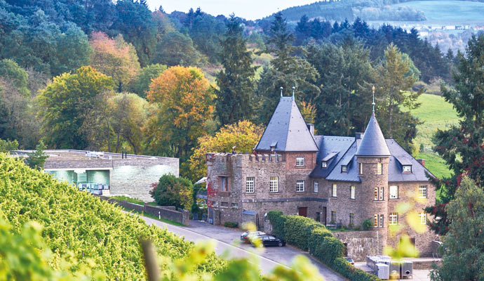 Aufbruch zum Ursprung Weinberg mit Schlossgebäude im idyllischen Tal.