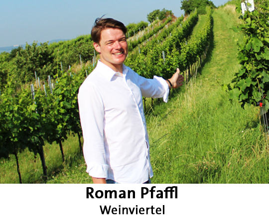 Winzerfrühling Winzer Pfaffl Winzerfrühling Winzer Pfaffl
