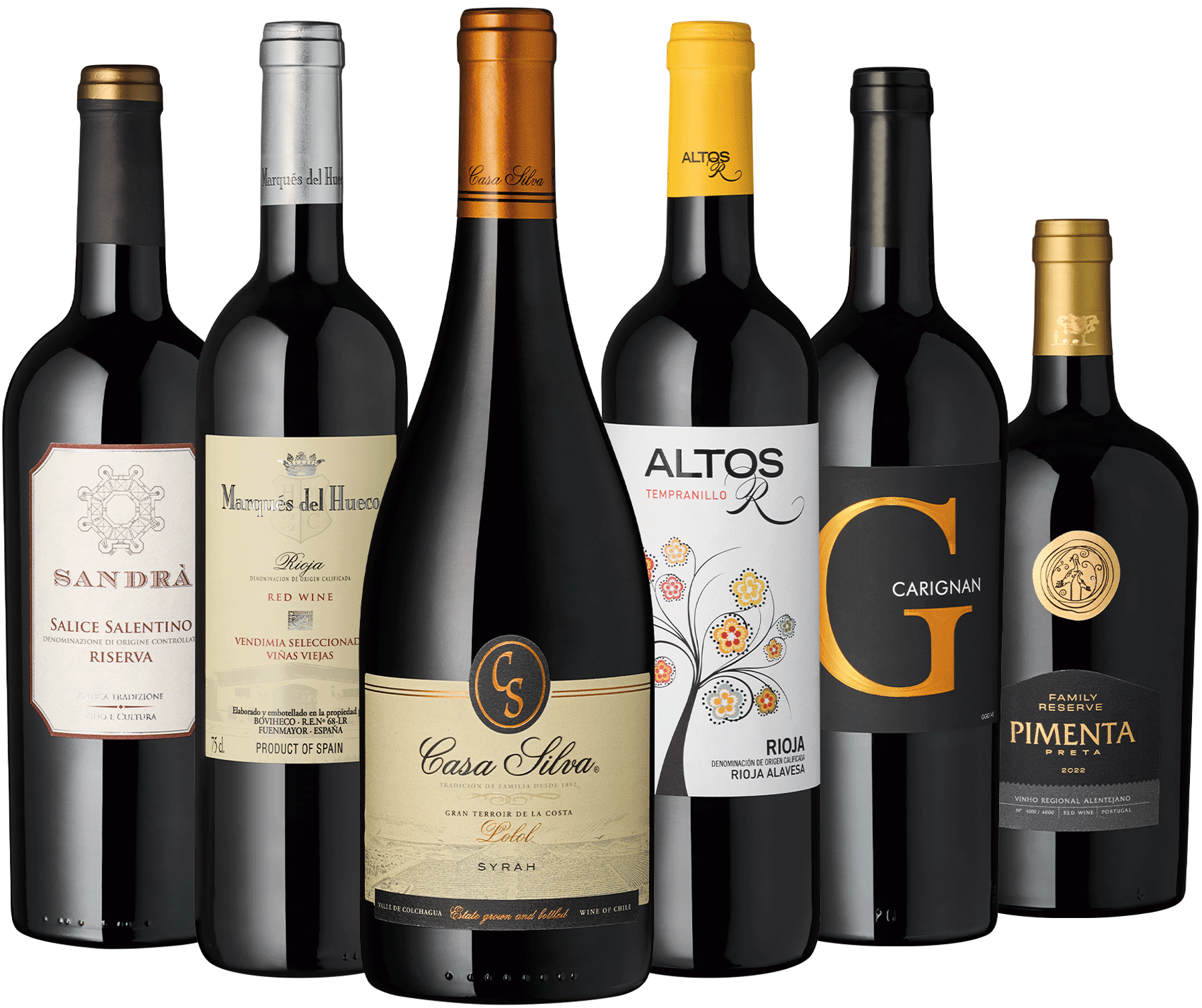 6er Rotwein Entdecker Juli 2025