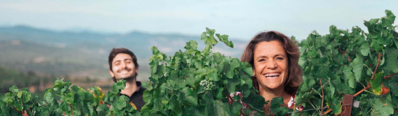 Weingut Antech Weingut Antech