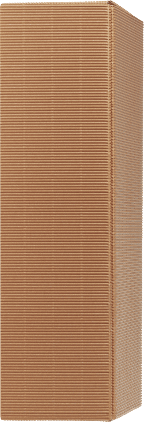 Präsentkarton liegend 'Modern Natur' 2er Präsentkarton liegend 'Modern Natur' 2er