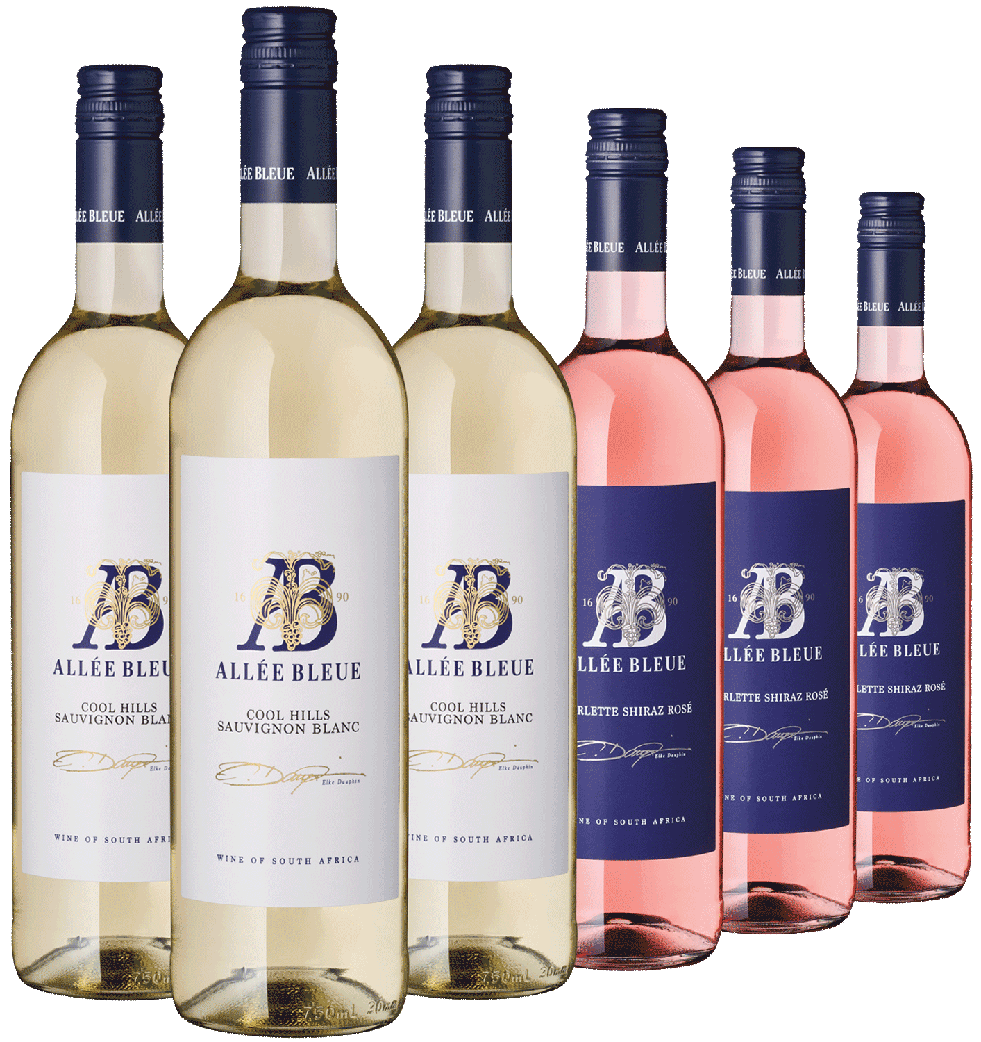 6er Frühling am Kap Weinflaschen von Allée Bleue: Weiß- und Roséwein