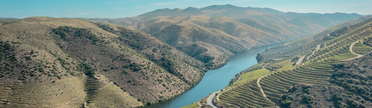 Weinberge der Vinho Verde