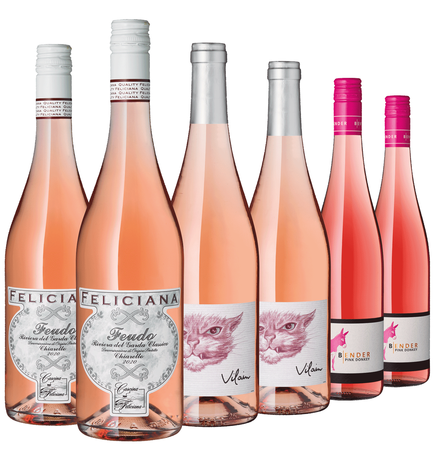 6er Zart knospende Rosé Auswahl an Roséweinen in verschiedenen Flaschen, Frontansicht