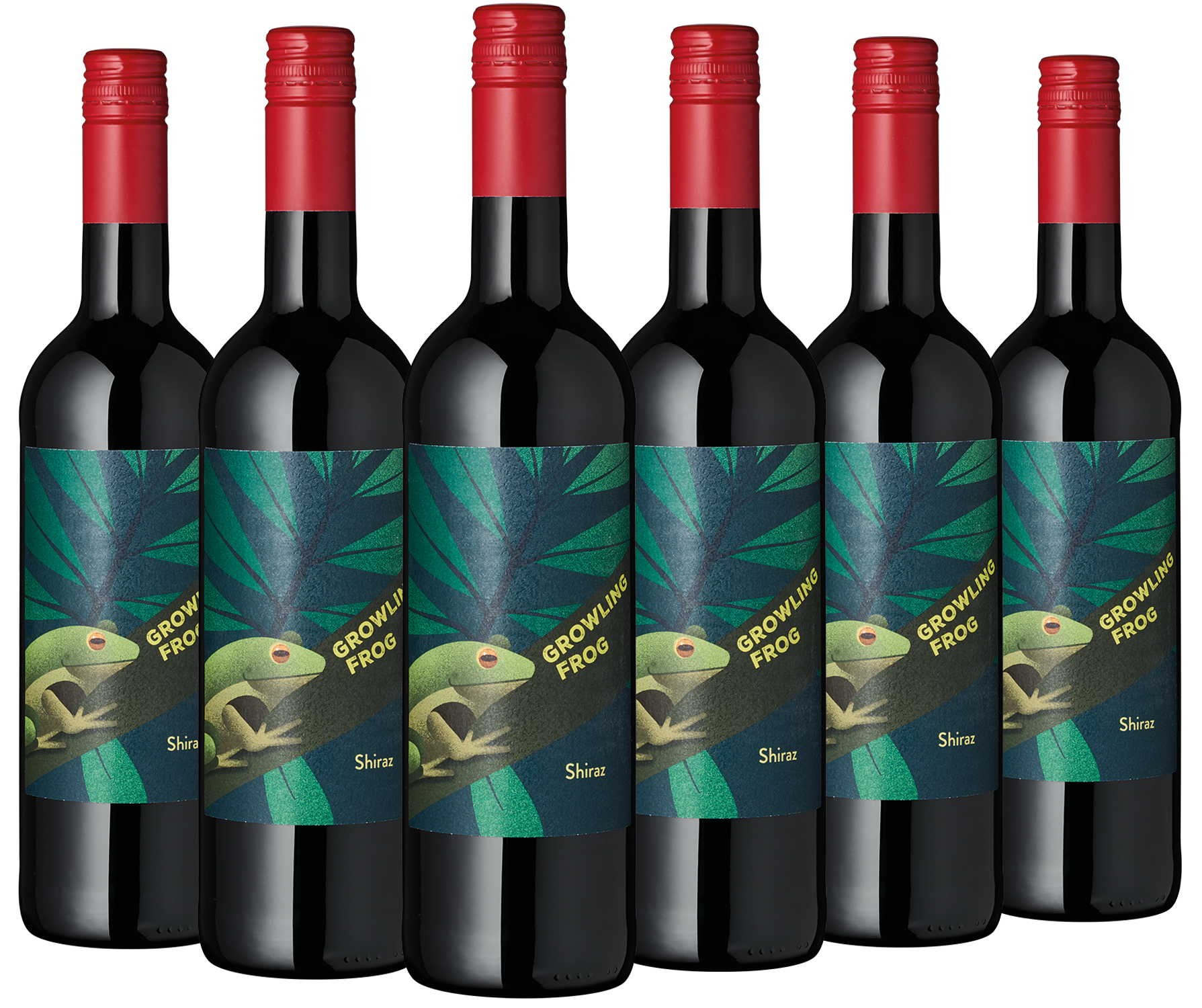 6er Paket "Growling Frog" Shiraz