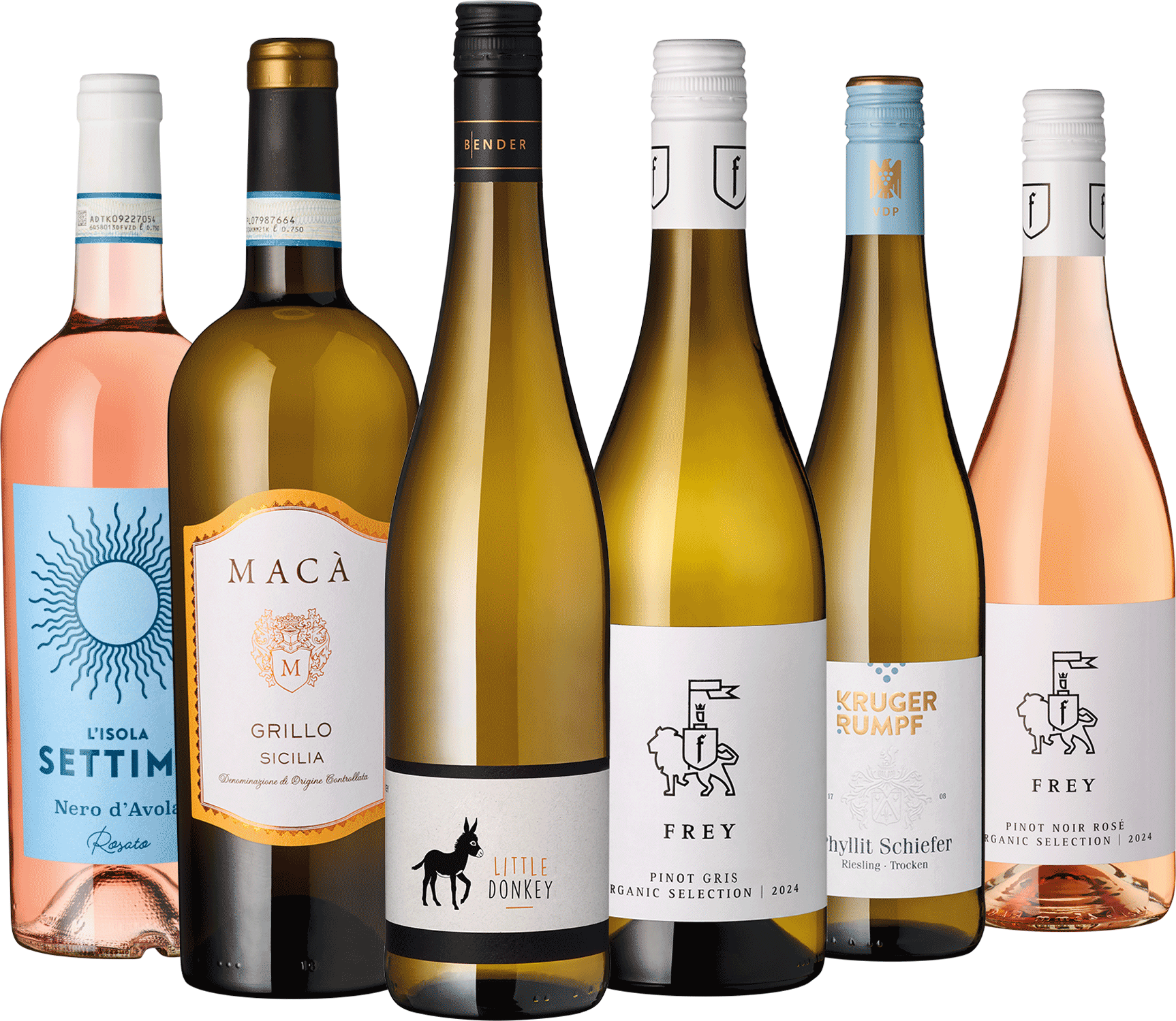 6er Weißwein Entdecker August 2025