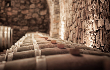 Wein Wissen Mineralik