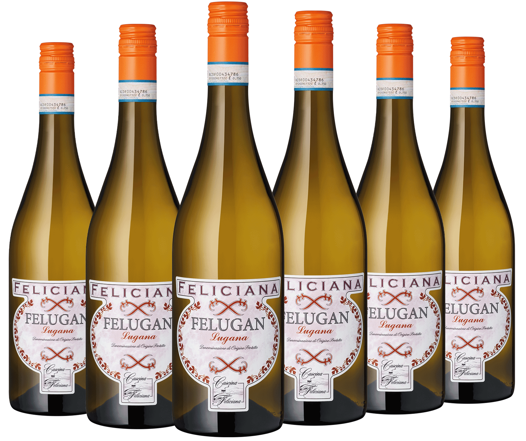 6er Paket Feliciana Felugan