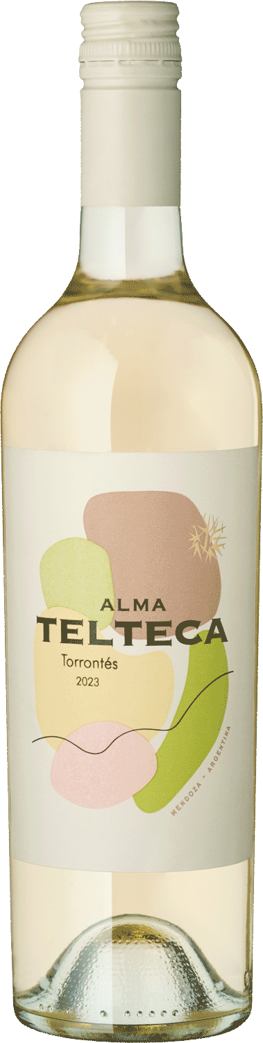 "Alma Telteca" Torrontés