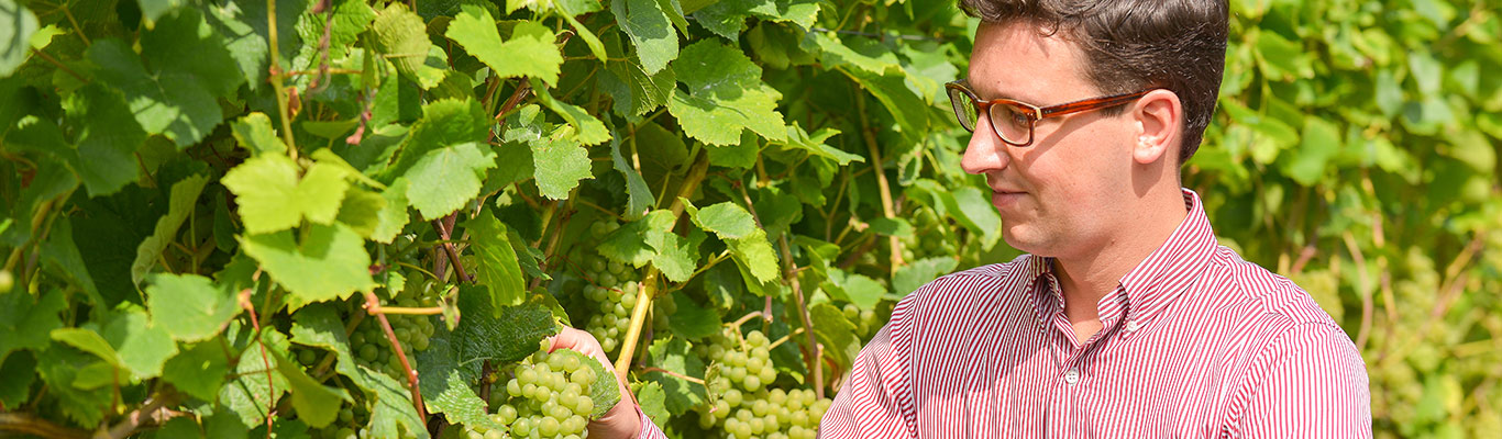 Weingut Plettenberg Weingut Plettenberg