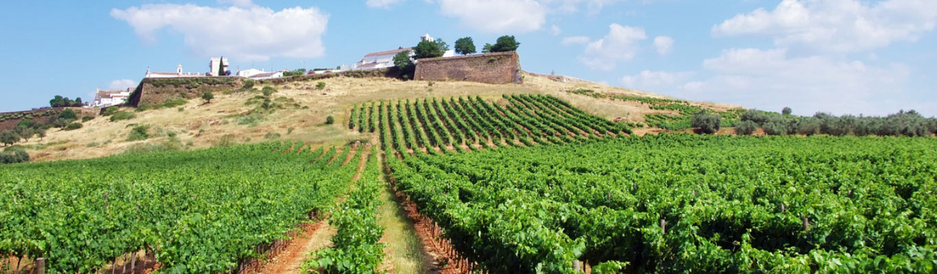 Kategorie Alentejo Kategorie Alentejo